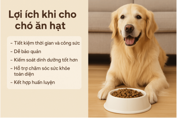Lợi ích khi cho chó ăn hạt