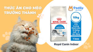 Thức ăn cho thú cưng 